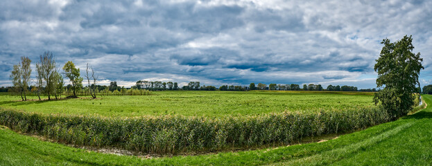 Fototapeta premium Wiesenlandschaft am Havelradweg zwischen Schmergow und Phöben – Panorama aus 6 Einzelbildern
