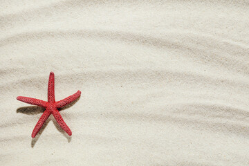 Fototapeta na wymiar Background of light beach sand with space for text.
