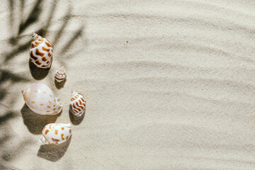 Background of light beach sand with space for text.