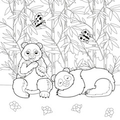 Set of cute big panda. Panda eating bamboo leaves, panda sleeping. Pandas in a clearing in the thickets of bamboo. Vector cartoon illustration.