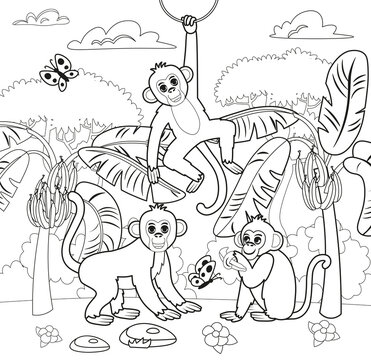 Set of cute cartoon monkey character. Animals of Africa. Vector cartoon illustration.