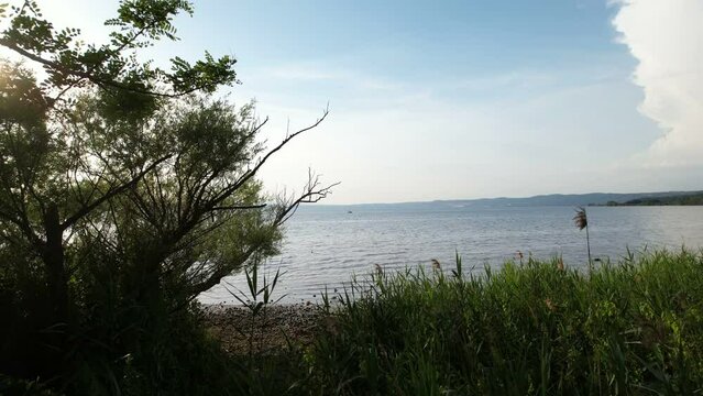 Lago di Bolsena aerial approach through the trees