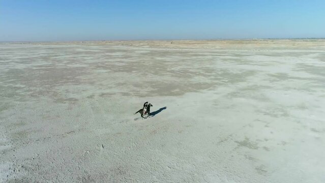 Arabian horse rider gallops through the desert. Filmed by drone, aerial view