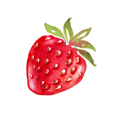 Watercolor strawberry.  Hand-painted clipart. Isolated