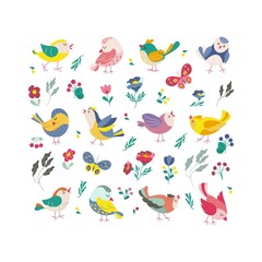 Funny colored birds butterflies and flowers set. Exotic birds collection. Vector illustration in flat style.