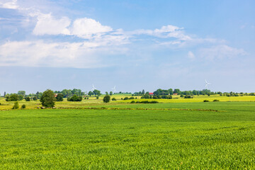 Fototapeta premium Green fields in the countryside a beautiful summer day