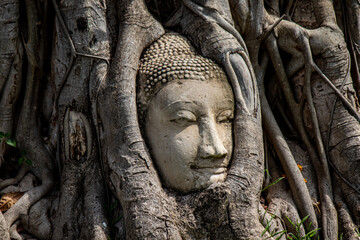 Fototapeta na wymiar Ayutthaya Province,Thailand on May22,2020:Buddha's head in Bodhi tree roots at Wat Mahathat.A UNESCO World Heritage Site.
