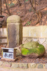 kyushu, japan - december 08 2021: Japanese inyou stone meaning yin and yang stones shaped like the genitals of men and women lined up side by side in nuregamidaimyojin shrine part of Miyajidake Shrine