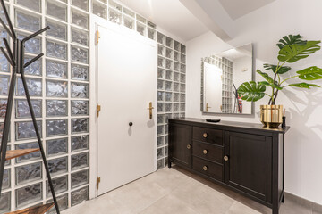 Home hallway with black wooden sideboard, frameless mirror, decorative plants and wall with glass...