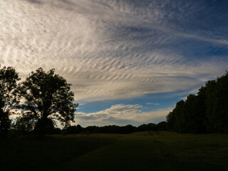 sunset over the field