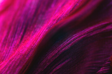 Fototapeta na wymiar Floral background as a design element. Background of folds of delicate petals of red-violet color. Extreme macro and intimate curves