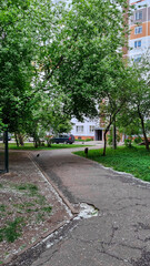 Obraz premium Sidewalk at the suburb that goes through blooming trees. Residential district with old soviet habitation. Path for a walk with no people around in the native neighborhood.