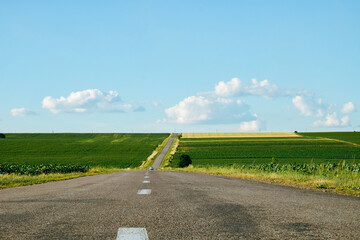 Asphalt road panorama through soybean fields in countryside 
 - obrazy, fototapety, plakaty