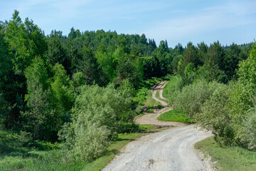 Gravel road in a picturesque taiga area