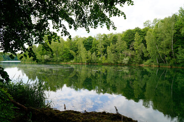 a scenic view of lake Lauingener See and the green trees reflecting in its emerald-green water on a fine May day in Lauingen (Bavaria in Germany)	