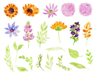 Cute Wild Flower Watercolor Collection