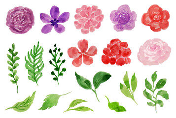 Beautiful Summer Flower Watercolor Collection