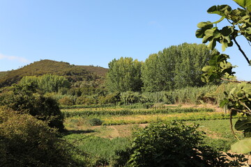 Fototapeta na wymiar Autumn garden, permaculture field to grow fresh vegetables, ridges to retain the water in the mountains
