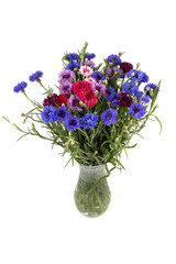 Сornflowers in blue, purple, pink, burgundy, and white blooms. Summer  flower background.