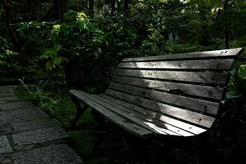 Old wooden bench in a park in Tokyo, Japan