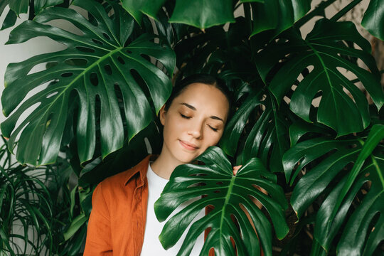 A close-up portrait of the face of a beautiful young woman covering her face with a green monstera leaf. Portrait of a beautiful woman with natural makeup among large green leaves.