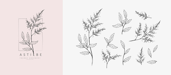 Set of luxury flowers and logo. Trendy botanical elements. Hand drawn line leaves branches and blooming. Wedding elegant wildflowers for invitation save the date card. Vector © merfin