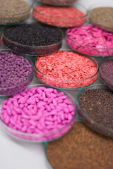 Seleção com diversas sementes divididas em placas de petri para demonstração de suas qualidades como cor, tamanho e formatos