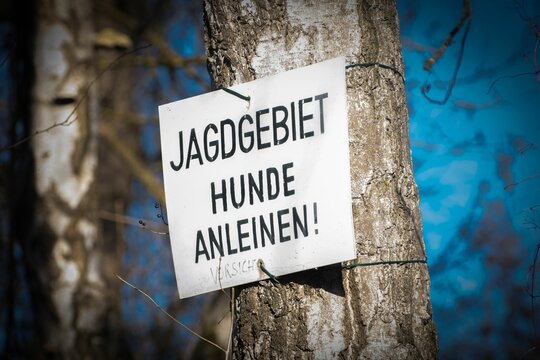 Closeup of a sign with the text Jagdgebiet Hunde Anleinen, Hunting area Dogs on leash, on the tree.