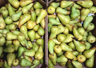 Stock photo, top view of two large boxes with many ripe juicy pears. Macro photo of sweet healthy fruit, organic healthy food. For backgrounds, design, printing, presentation