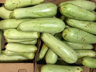 Stock photo of fresh zucchini in boxes, on the shelves. Healthy green vegetables in the grocery store, vegetables top view. Diet healthy food. 4k image for backgrounds, design, presentations, examples