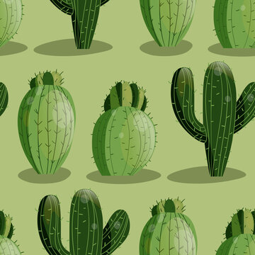 Seamless pattern with cactus with thorns, succulent on color background.  Vector drawing illustration for icon, game, packaging, fabric, textile.  Wild west, western, cowboy concept Stock Vector | Adobe Stock