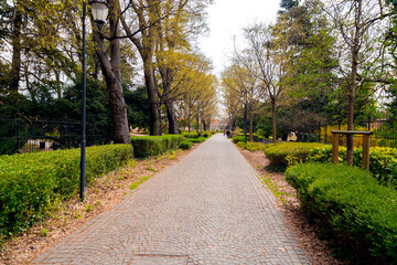 Fototapeta na wymiar City park and walking paths under the trees in Padua, Italy