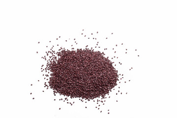 Sementes coloridas sobre fundo branco de diversas variedades, formatos e tamanhos