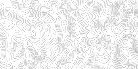 Topography map background. White wave paper curved reliefs abstract background. Vector contour topographic map background. Conditional geography scheme and the terrain path. paper texture design .