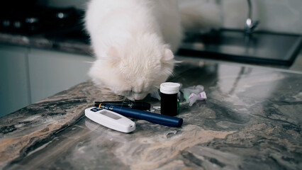 Medical devices. Glucometer, test strips and syringe pen with insulin lie on the table. Blood level monitoring at home.Device for measuring sugar. Cat sniffs objects on the kitchen surface 