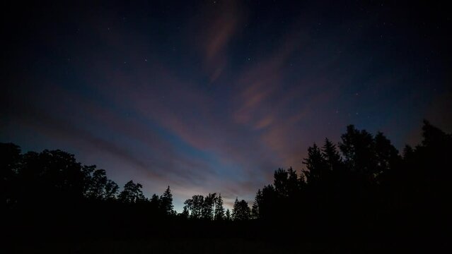 4k night Timelapse with cloudy sky and stars over forest