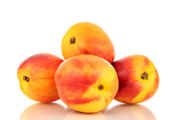 Several juicy organic nectarines, close-up, isolated on a white background.