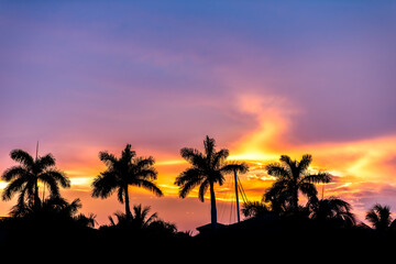 Fototapeta na wymiar Hollywood Beach in North Miami, Florida view of villas houses at beautiful purple and orange glowing sunset with palm trees in dark silhouette closeup