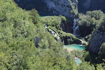 Lago nel Parco naturale in estate
