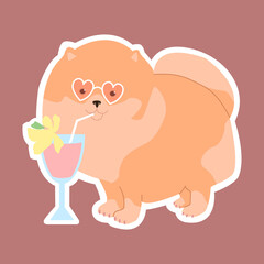Pomeranian in pink glasses drinks a cocktail. Cute sticker. Vector illustration for children.