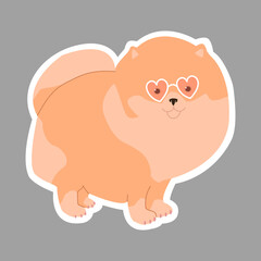 Pomeranian in pink glasses. Cute sticker. Vector illustration for children.