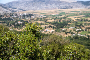 Fototapeta na wymiar Panorama landscape Plato height on Crete