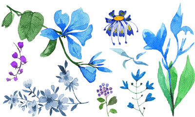Fototapeta na wymiar Watercolor floral elements set 