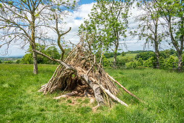woodland den created with sticks and branches among the trees in the English countryside
