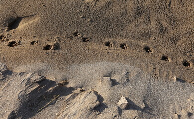 Footprints in the sand on the mediterranean sea