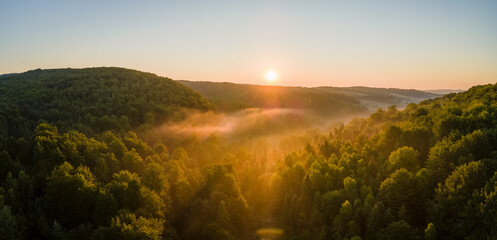 Vibrant foggy morning over dark forest trees at bright summer sunrise. Amazingl scenery of wild woodland at dawn
