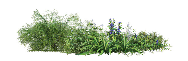 A variety of trees and plants