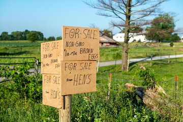 Rural, farm produce signs advertising poultry products.