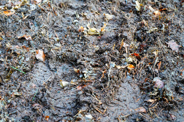 Close up of a muddy damp path 