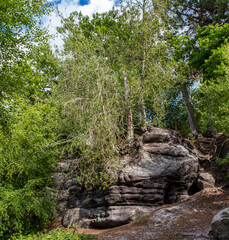 Rock formation with hanging vegetation and trees